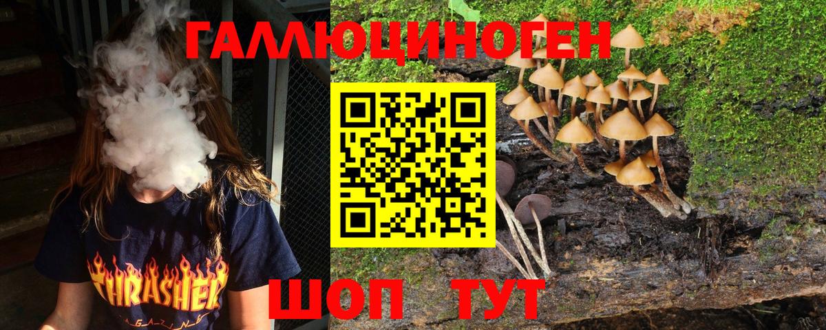 Псилоцибиновые грибы GOLDEN TEACHER  Вход с VPN  Алатырь 